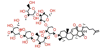 Stichoposide A